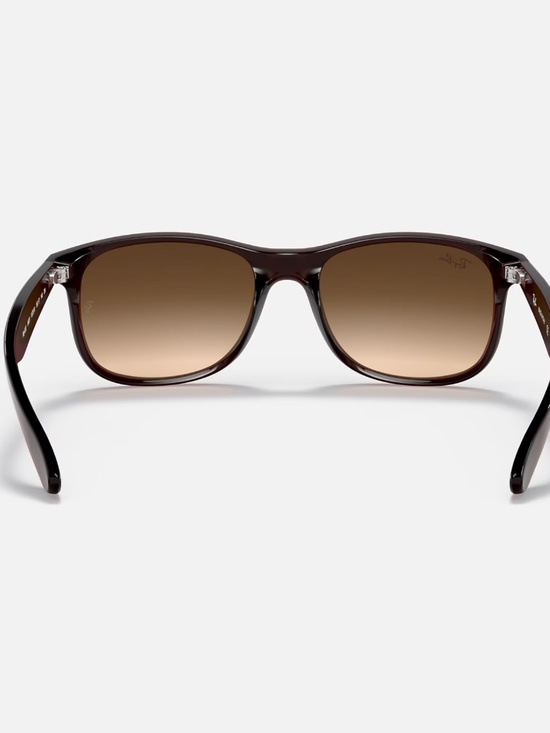 Ray-Ban Andy sunglasses (RB4202). Brown frame/brown gradient lenses main image 4
